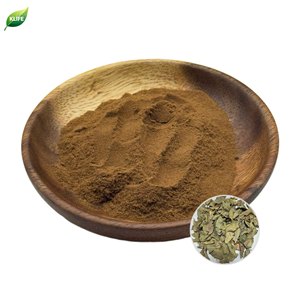 KLIFE Hot Sale Apocynum Venetum Extrakt <span class=keywords><strong>Dogbane</strong></span> Extrakt Apocynum VenetumL. Extrakt pulver 10:1 - Product Image 2