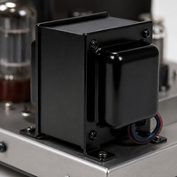 Transformateur de filament à faible puissance à haut rendement 50Hz/60Hz avec haute fréquence 20KHz pour des performances optimales