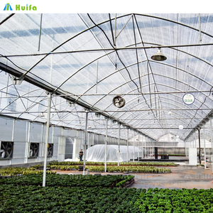 Invernadero Agrícola Grande de 40x40m, Tipo Túnel con Techo de Láminas de Polietileno, Estructura de Acero Galvanizado en Caliente y Cubierta de Láminas de Policarbonato - Product Image 3