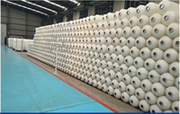 Réservoir GRP FRP 1054 Filtre à pression Traitement de l'eau Filtre à eau septique Pièces de filtre à eau 500L/heure Certifié ISO9001 Garantie 1 an