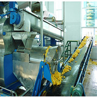 Chaîne de production de jus de pomme clé en main de haute qualité, pasteurisateur automatique en SUS304, capacité de 0,5 à 20 T/H pour la transformation des fruits