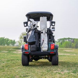 Carrito de Golf de 2 Plazas a Precio Mayorista, con Color y Logotipo Personalizados, para Atracciones Turísticas, Campus y Parques, Diseño Premium de Alta Gama - Product Image 2
