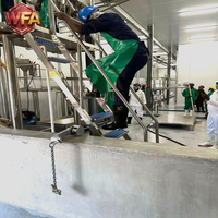 Ligne d'abattage halal pour bovins, équipement d'abattoir, machinerie de boucherie, projet d'usine de transformation de viande de bœuf