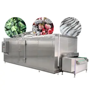 Industrial Freezer Tunnel quick-freezing machine freezer room