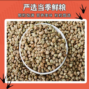 Alimento para Aves de Compañía Fire Seed 400G, Origen Shandong, Suplemento Nutricional para la Salud de las Plumas y el Cuidado Digestivo - Product Image 3