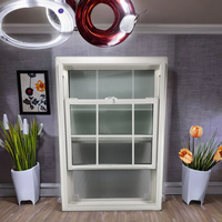Fenêtres à guillotine doubles en PVC blanc de style européen et américain, avec moustiquaire magnétique en acier inoxydable, cadre en plastique, isolation thermique