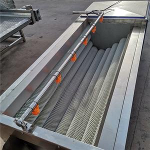 Laveuse-éplucheuse industrielle multifonction à rouleaux pour pommes de terre, carottes, gingembre et légumes racines - Product Image 2