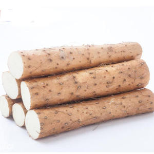 Dioscorea opposita <span class=keywords><strong>Dioscin</strong></span> ผงสารสกัดจากมันเทศจีน - Product Image 3