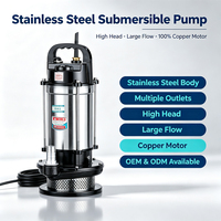 Pompe à eau submersible haute pression en acier inoxydable 304, modèle QDX, personnalisable OEM, débit élevé pour l'irrigation agricole - Vente chaude
