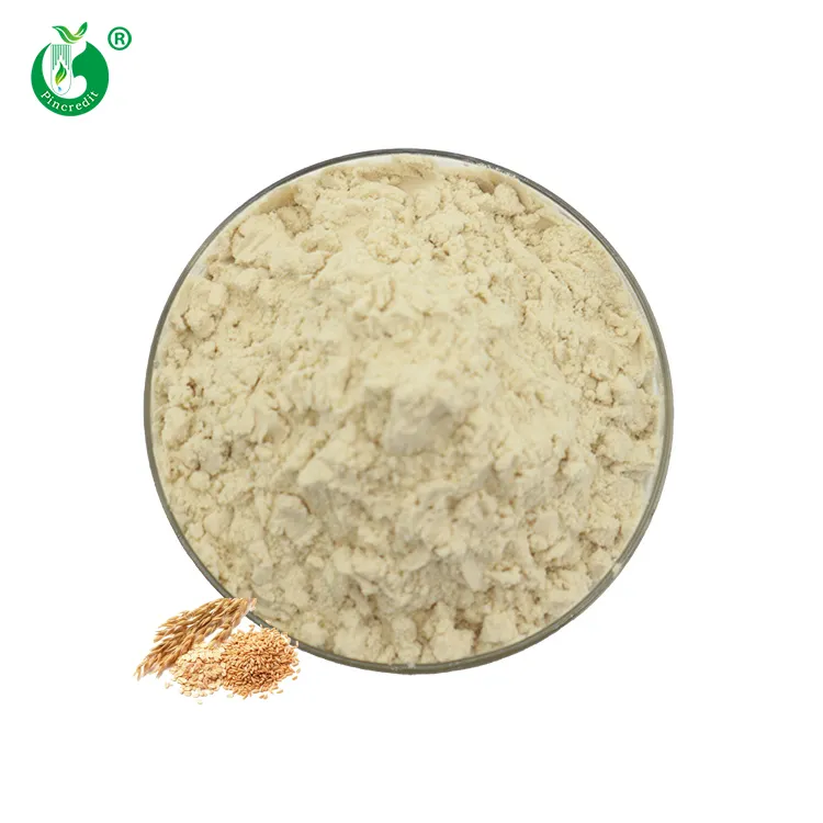 Pincre- polvo de proteína de Oat, venta al por mayor, de alta calidad, Beta-glucano