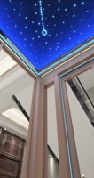Ascensore Residenziale Moderno 270° con Vetro Panoramico, Senza Ingranaggi, AC, Soffitto Stellato Oro Rosa per Villa
