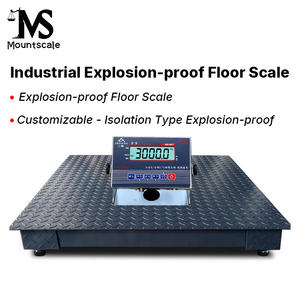 Plattformwaage 1 Tonne Bodenwaage Digitale Plattformwaage Wiegebrücke mit Explosionsgeschütztem Anzeigegerät - Product Image 4