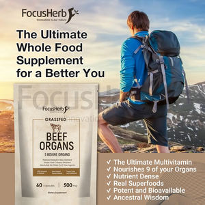 FocusHerb Grass Fed Suplemento de carne de res Hígado Corazón Riñón Páncreas Bazo Mezcla 5 en 1 Cápsula de órgano de carne de res - Product Image 4