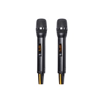 RIY-20a avec microphone sans fil 93A True Diversity IR infrarouge 2 canaux Distance de travail de 250 mètres pour la performance