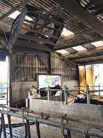 Ventilateur de grange agricole de 72 pouces pour le refroidissement et la ventilation du bétail, équipement pour ferme laitière
