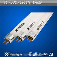 365nm UVA T5 T8 4W 6W 8W 10W 15W 18W 36W BL lampe à tube fluorescent anti-moustique à lumière noire