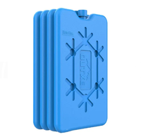 Vente chaude HDPE Réutilisable Gel Congélateur Glace Mini Grand Bloc De Glace Boîte Glacière Boîte À Lunch Glace Brice Pour Le Stockage Des Aliments
