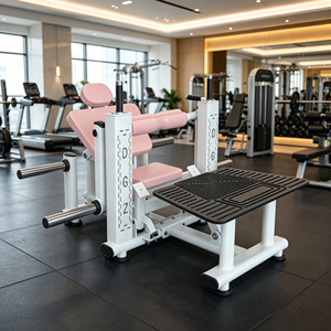 Máquina Multifuncional de Hierro y Metal para Moldear el Cuerpo de Mujer, Todo en Uno, para Uso Comercial, Fitness, Yoga, Pilates, Equipo de Gimnasio - Product Image 5