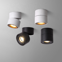 CANMEIJIA Projecteurs LED d'intérieur modernes Aluminium Rond Réglable Lumière vers le bas Monté en surface COB Base PC Corps pour le salon