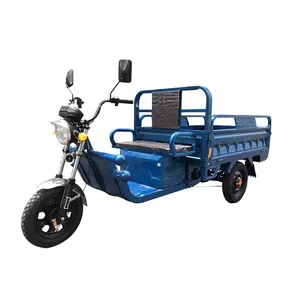 Vendite calde 800W 1000W 1200W 3 ruote cargo elettrico e rickshaw tricicli moto