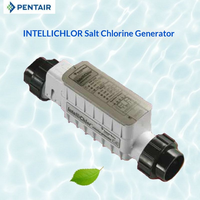 Générateur de chlore au sel PENTAIR IntelliChlor, filtre et nettoyeur de piscine, désinfection, plastique, fabriqué dans le Guangdong