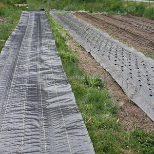 <span class=keywords><strong>Film</strong></span> de paillage PP non tissé, tissu anti-mauvaises herbes, couverture de sol agricole, <span class=keywords><strong>film</strong></span> de paillage pour serre et <span class=keywords><strong>jardin</strong></span> - Product Image 2