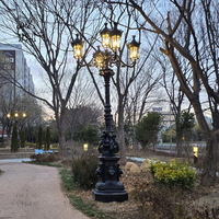 BLVE Jardín al aire libre Paisaje Decoración Parque Luces de calle de metal Postes de lámpara de hierro fundido clásico