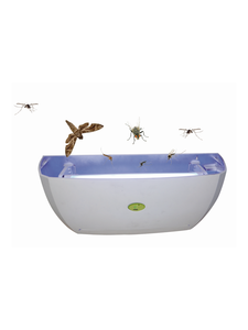 Una Empresa Reconocida Produce en Masa Trampas <span class=keywords><strong>para</strong></span> Mosquitos y <span class=keywords><strong>Moscas</strong></span> Ecológicas y de Uso General, Aptas <span class=keywords><strong>para</strong></span> Restaurantes y Mercados - Product Image 1