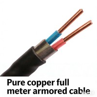 Cable de Control de Cobre XLPE Yuehua Kvv Kvvp22, 6/7/8/10/12 Núcleos, 1.5/2.5/4 mm, Revestimiento de PVC, Estándar Nacional, Retardante de Llama, IP44