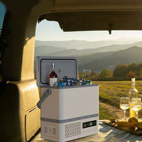Mini-réfrigérateur de voiture moderne 12L, 12V/24V, compresseur, écologique, portable, pour le camping en plein air
