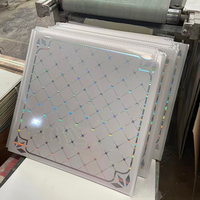 Paneles de Techo de PVC Cuadrados Modernos, Impermeables y Resistentes al Fuego, 60x60, para Uso en Hoteles y Hospitales, Instalación de Rejilla de Techo