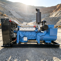 Générateur diesel portable ISO 9001 20 kW 30 kW 50 kW pour la sauvegarde d'alimentation des villas de luxe en Amérique du Sud