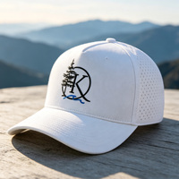 Casquette HS41 OEM personnalisée brodée à 5 panneaux, visière incurvée, perforée au laser, imperméable, vente en gros, pour activités de plein air, randonnée, golf, baseball