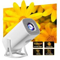 Mini projecteur natif HD 720P 150 ANSI Lumens Correction Keystone de mise au point automatique pour les soirées cinéma en plein air et le divertissement à domicile