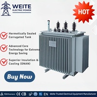 Transformateur immergé dans l'huile 10 kV 100 kVA 200 kVA 250 kVA 500 kVA – Approvisionnement direct usine pour entrepreneurs industriels et distributeurs d'énergie