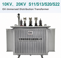 Transformateur de distribution triphasé immergé dans l'huile S11/S13/S20/S22, 50/60Hz, entrée 10KV/20KV, sortie 380V/400V
