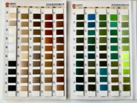 Fil de tapis en polyester coloré DTY 300D 96F teint en masse, 1000 nuances, filament en vrac pour tapis et tissus d'ameublement