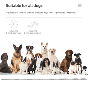 Collare Elettrico per Addestramento Cani Impermeabile Ricaricabile con Display LCD <span class=keywords><strong>Telecomando</strong></span> 800m 4 Modalità Antiabbaio - Product Image 5