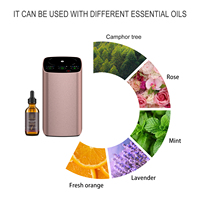 Petit diffuseur de parfum de voiture Spray USB Charging Electric Customized Car Fragrance désodorisant