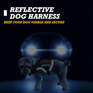 Harness anjing dan kucing taktis, untuk XXS, XS dan anak anjing kecil, rompi hewan peliharaan udara tanpa tarik dengan reflektif, tidak, Patch hewan peliharaan - Product Image 2