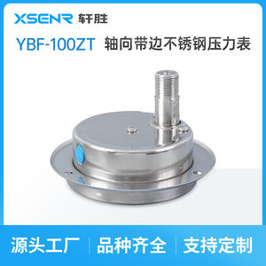 Manómetro de Acero Inoxidable Suzhou Xuan Sheng de 100 mm, Analógico, Montaje en Panel YBF100ZT, Conexión Roscada - Product Image 2