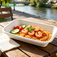 Barquette jetable en bagasse Retangel 950 ml, résistante à l'huile et à l'eau, 100 unités ° Usine de plateaux en fibres végétales C