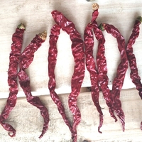 Piment rouge séché Erjingtiao de qualité supérieure en vrac, fourni par l'usine, à haute teneur en capsaïcine, faible humidité, 10% d'huile de piment, Hebei, sans additifs