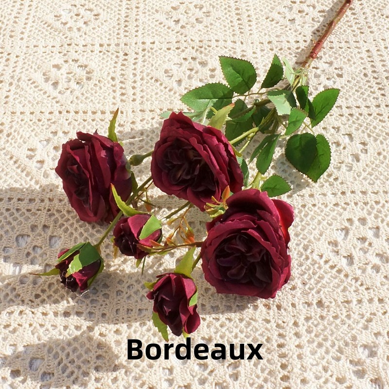 Bordeaux
