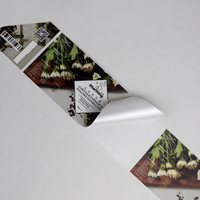 Étiquettes de boissons personnalisées en PVC imperméables, autocollantes double face, pour bouteilles de jus, à usage industriel et commandes sur mesure