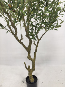Árbol de <span class=keywords><strong>Olivo</strong></span> Artificial de 220 cm (7 pies) para Decoración de Interiores, Hogar, <span class=keywords><strong>Tienda</strong></span>, Diseño de Interiores, Ceremonias - Product Image 6
