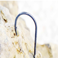 Isini Hameçon à barbelures pour boîte de rangement, 100 pièces, en acier à haute teneur en carbone, pour la pêche en eau profonde, la pêche à la ligne, la pêche au Luya, à manche long et à profil mince