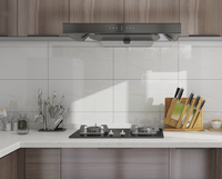 Foshan Salle de bain moderne 30x60 300x600 Carreaux muraux en céramique émaillée en marbre blanc Décor pour la conception intérieure du sol et des murs de la cuisine