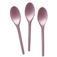 Cuillère à glace jetable en CPLA colorée, design personnalisé, cuillère à dessert biodégradable, couverts de fête, cuillère à café compostable
