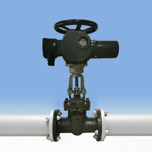 Actuator Double Flange On/off Type Electric 4 Inch Gate Valve Carbon Steel 150LB 300LB 380V DN100 Multi-turn Motorized Electric Actuator